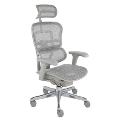 sivá kostra / sivá sieťovina