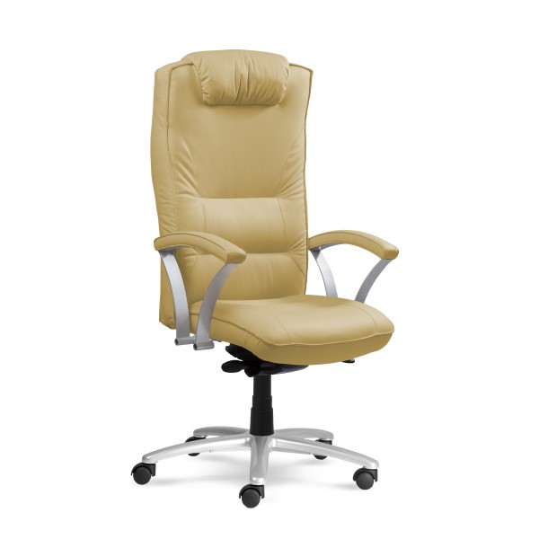 kancelárska stolička Ergo Line 2488