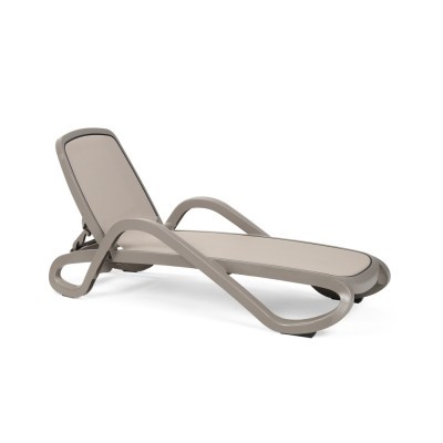 hnedosivý / hnedosivý