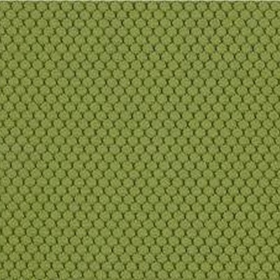 biela kostra / poťah 411